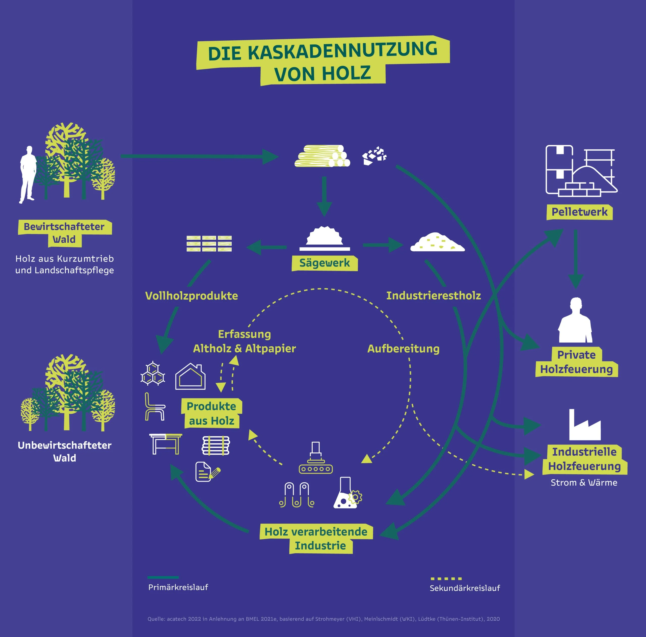 HrK_Social_KaskadennutzungvonHolz_Infografik