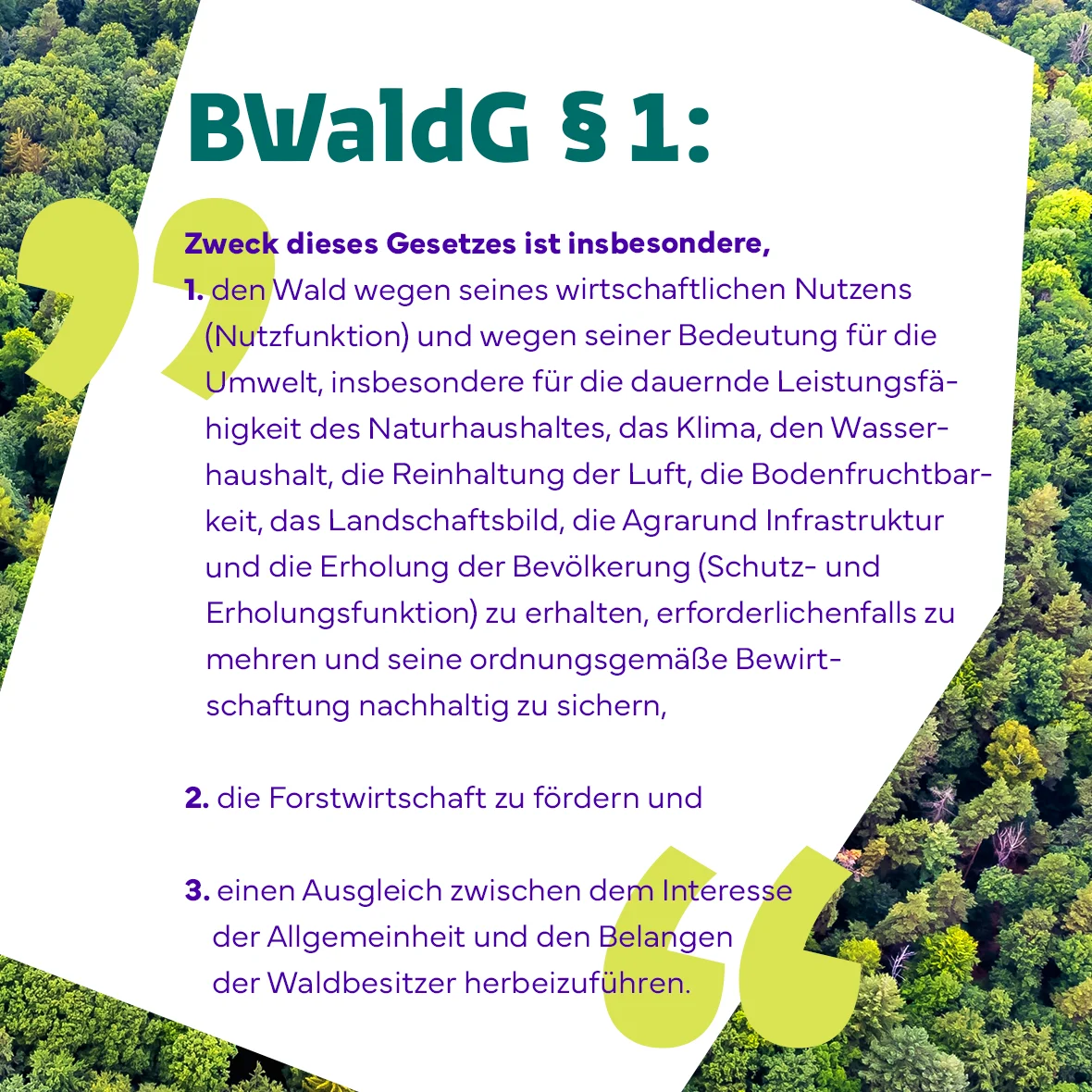 T2_DHWR_231107_Website_BWaldG